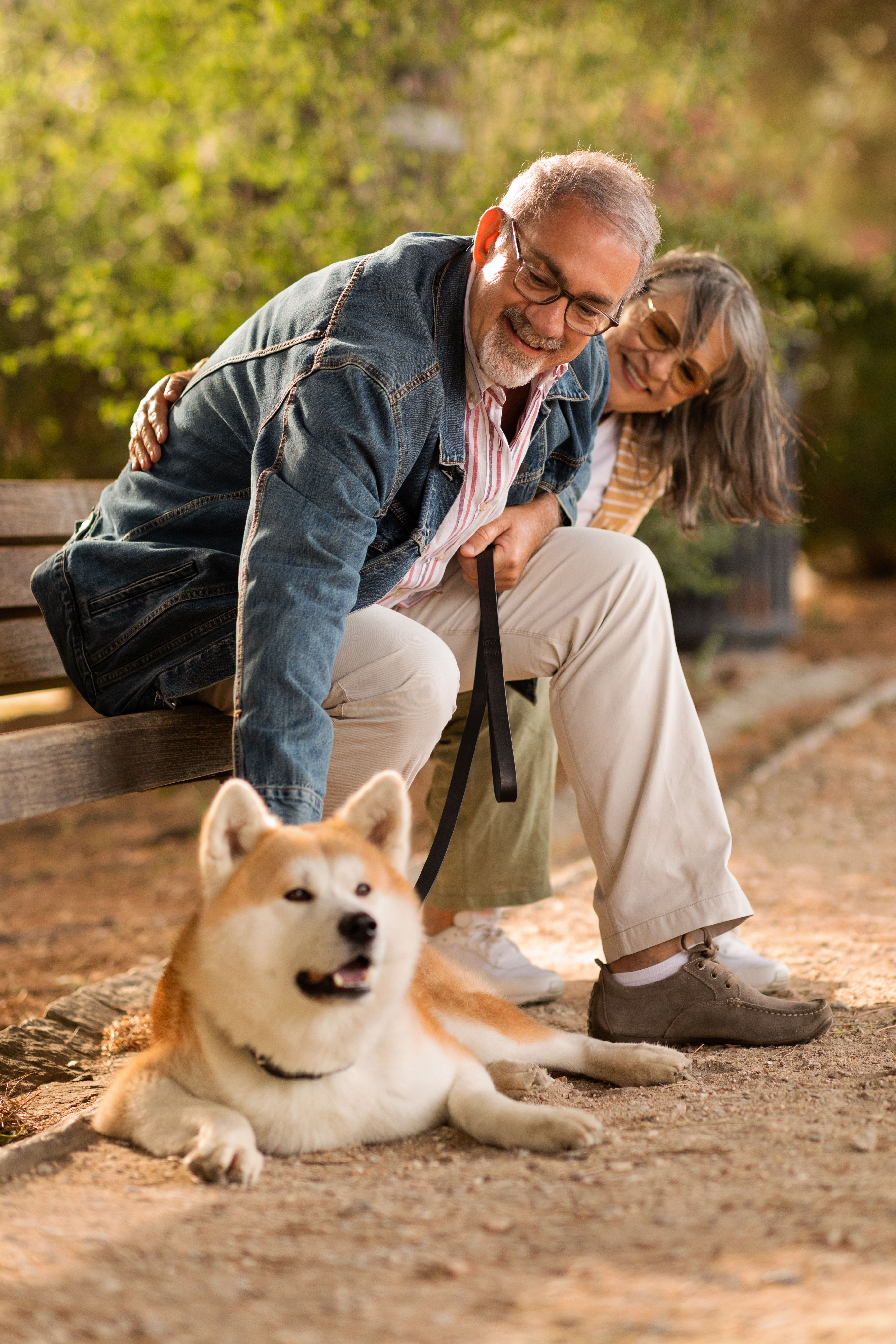 Bravecto 365 para cães em São Vicente-SP