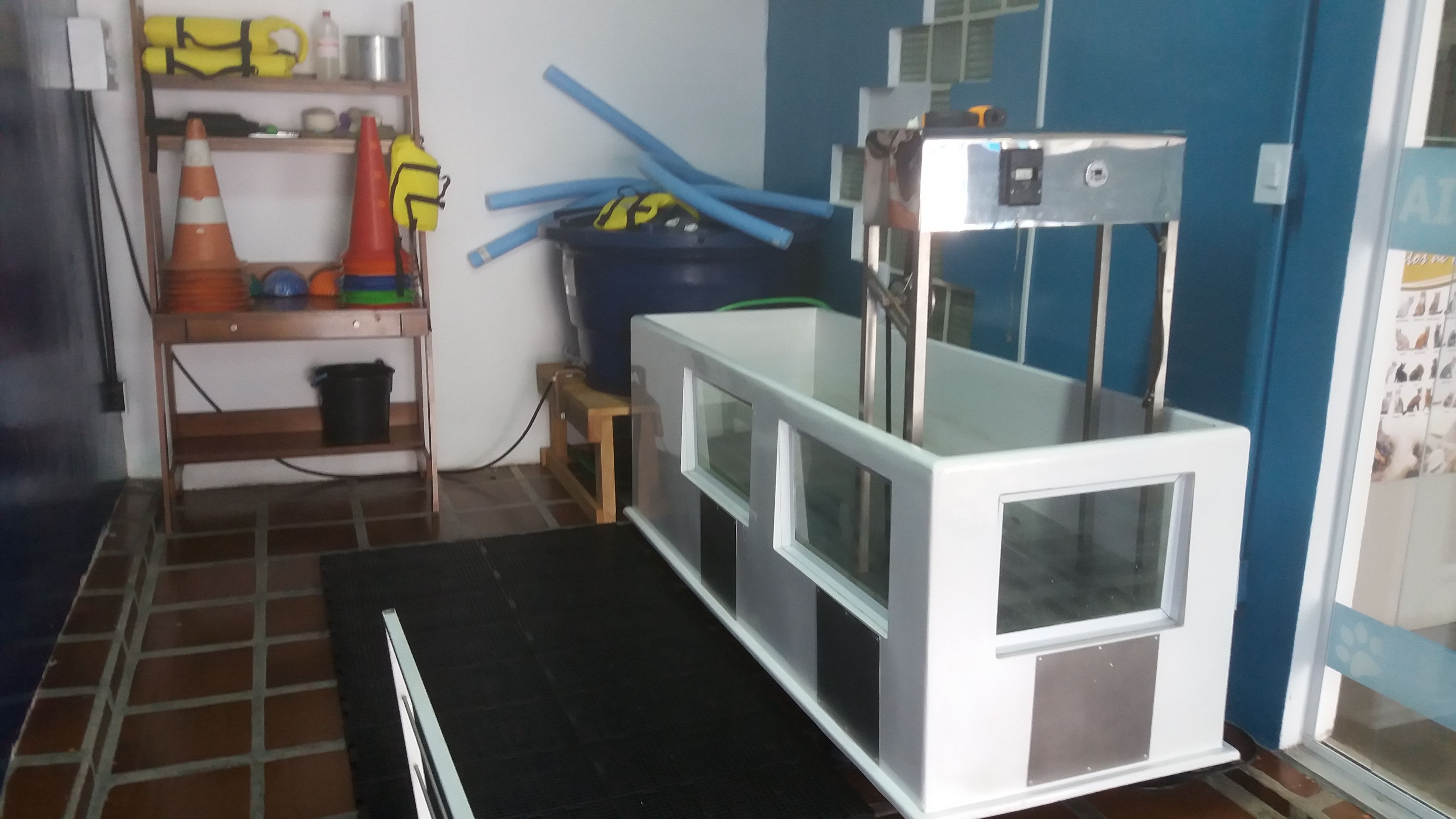 Filhotes na My Pet Home Care