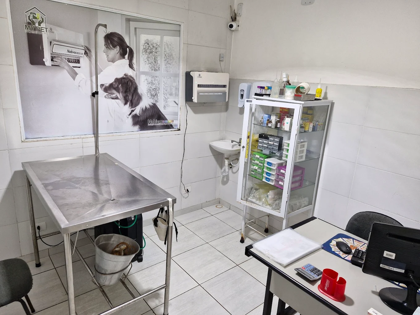 Filhotes na My Pet Home Care