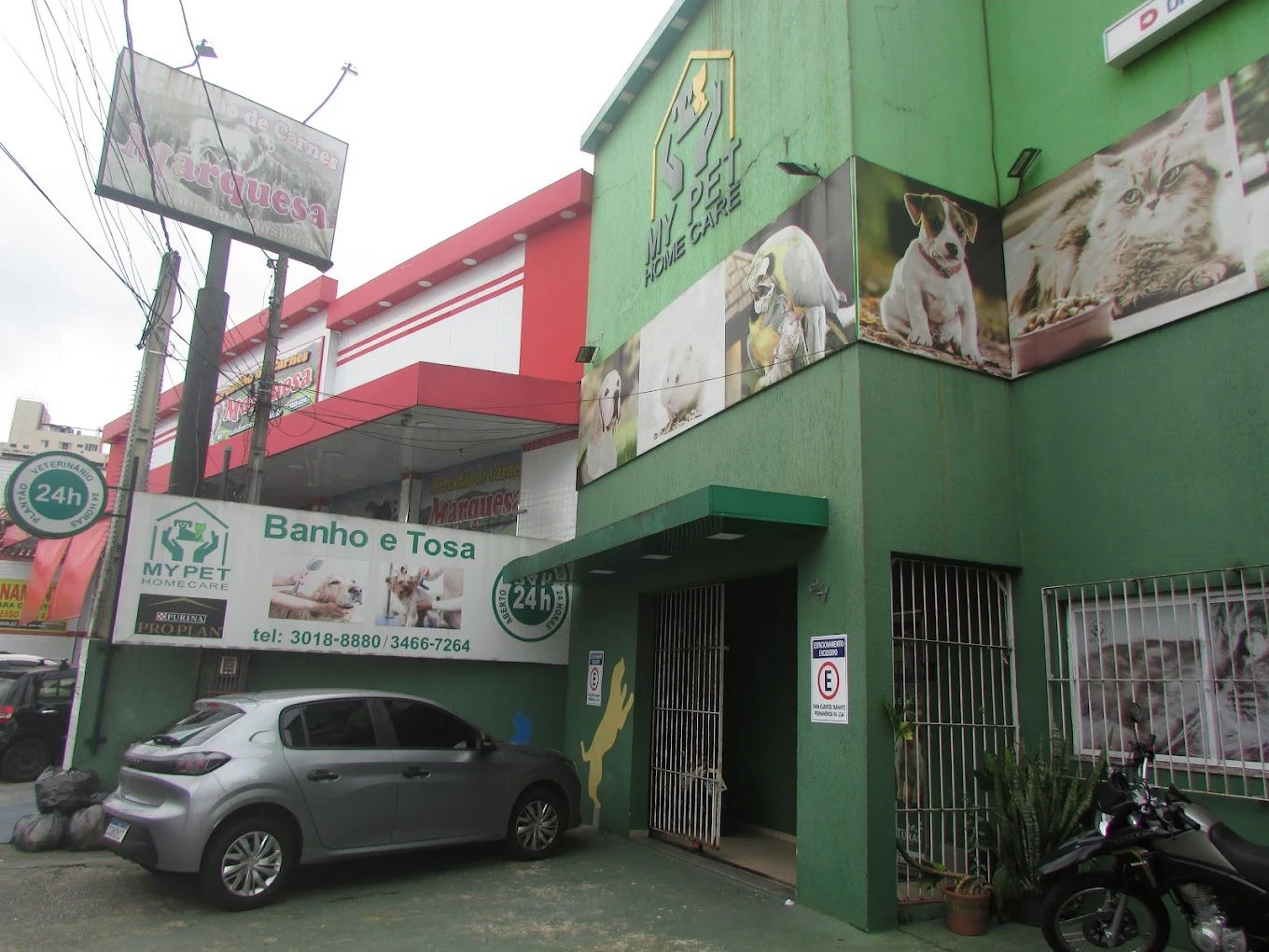 Filhotes na My Pet Home Care